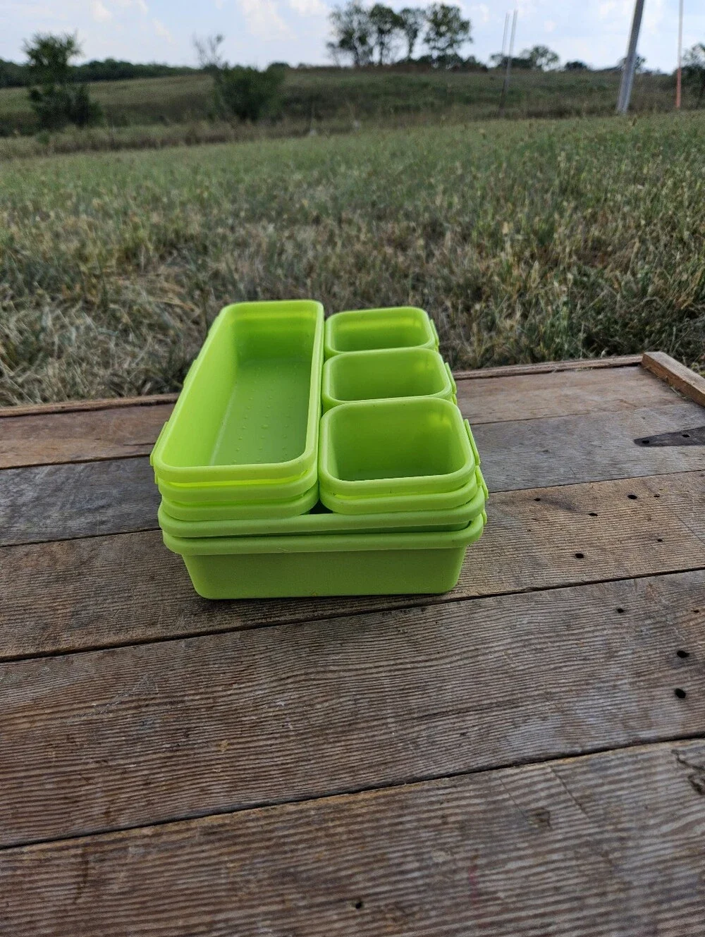 N/A versatile lime